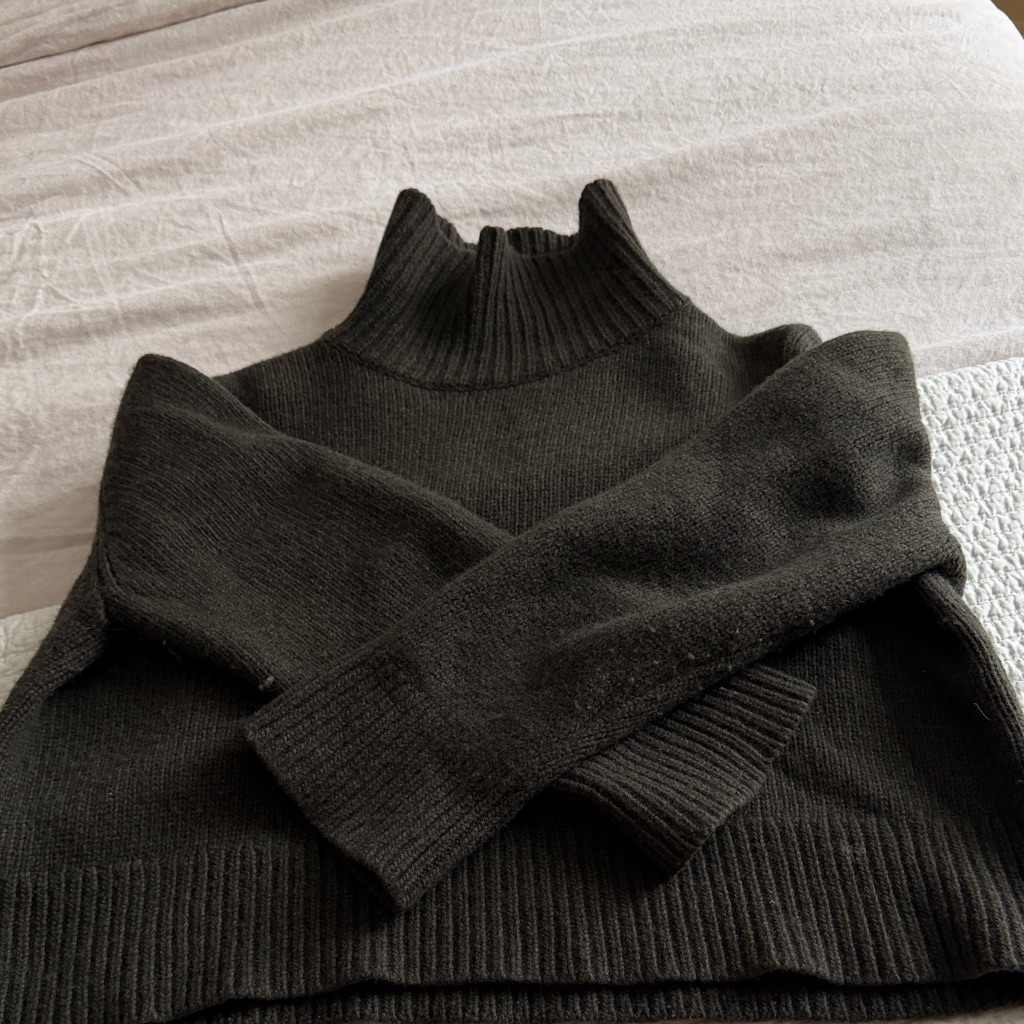 Dark Green Nili Lotan Sweater